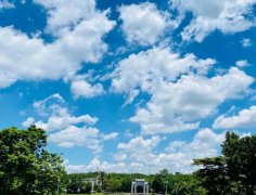海南：放寬社會(huì)資本進(jìn)入農(nóng)村的限制！中國(guó)大農(nóng)場(chǎng)時(shí)代來(lái)臨？